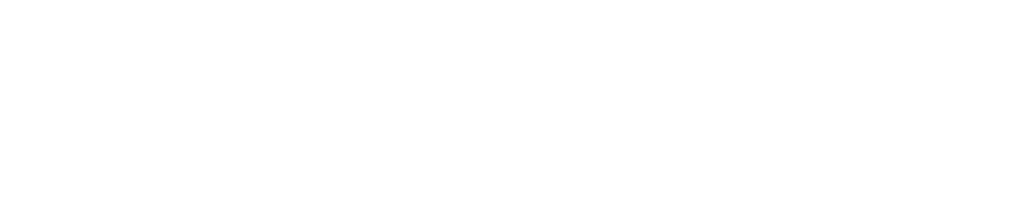 Intara Consultora